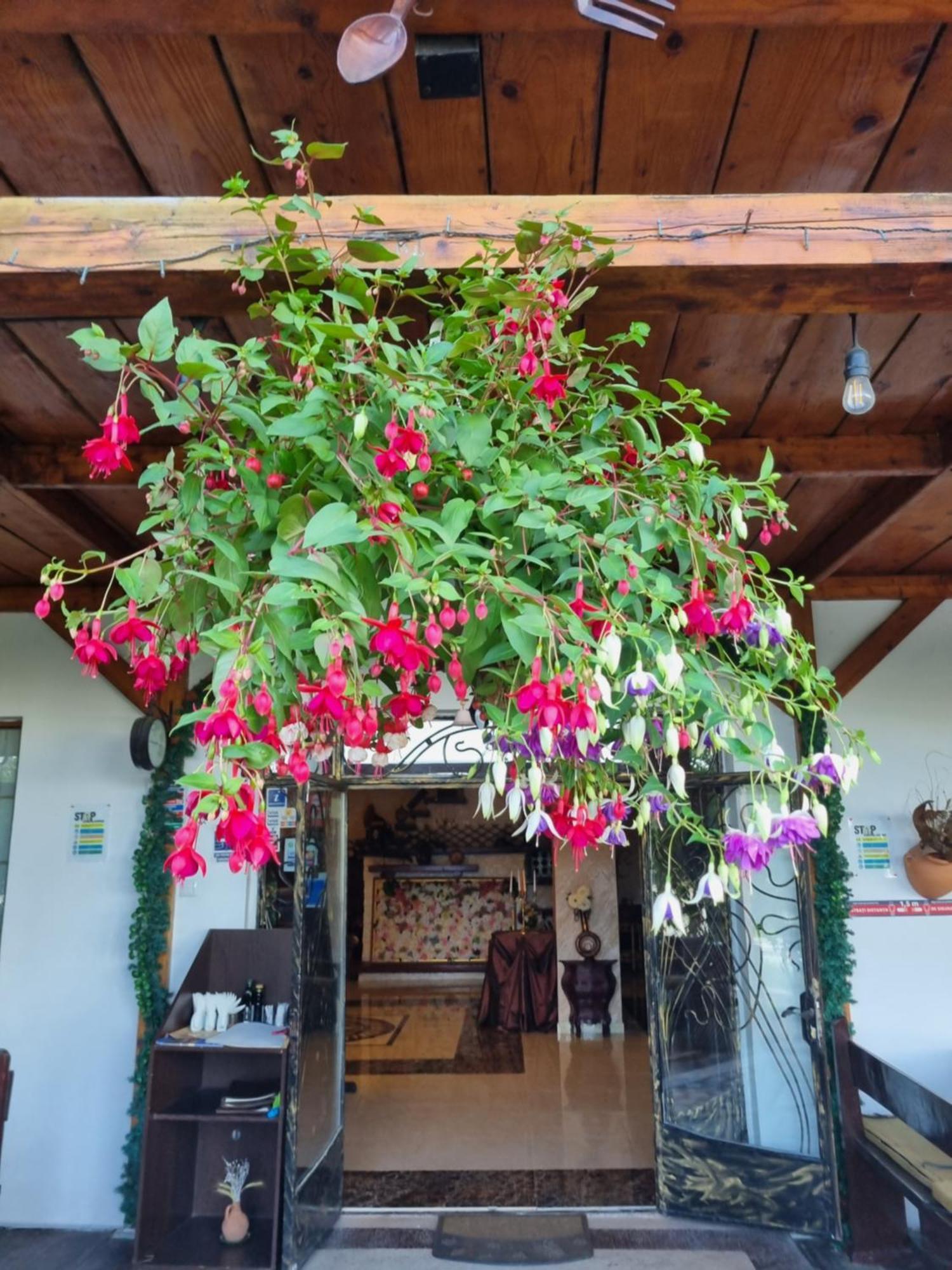 Casa Boiereasca 호텔 이아시 외부 사진