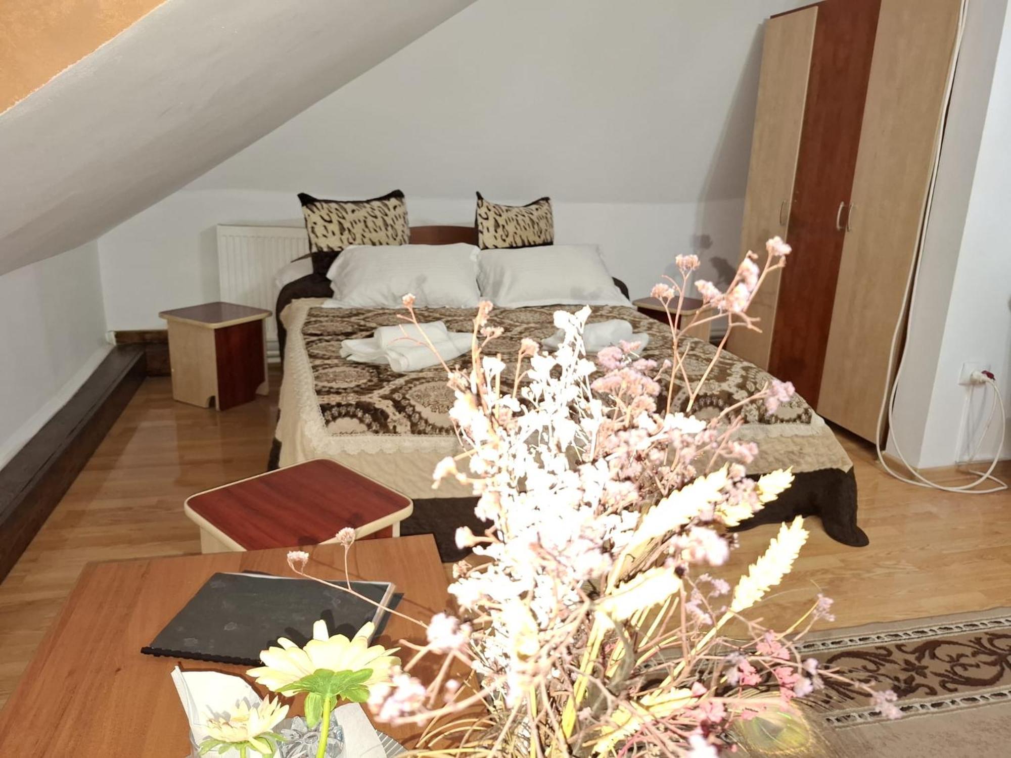 Casa Boiereasca 호텔 이아시 외부 사진