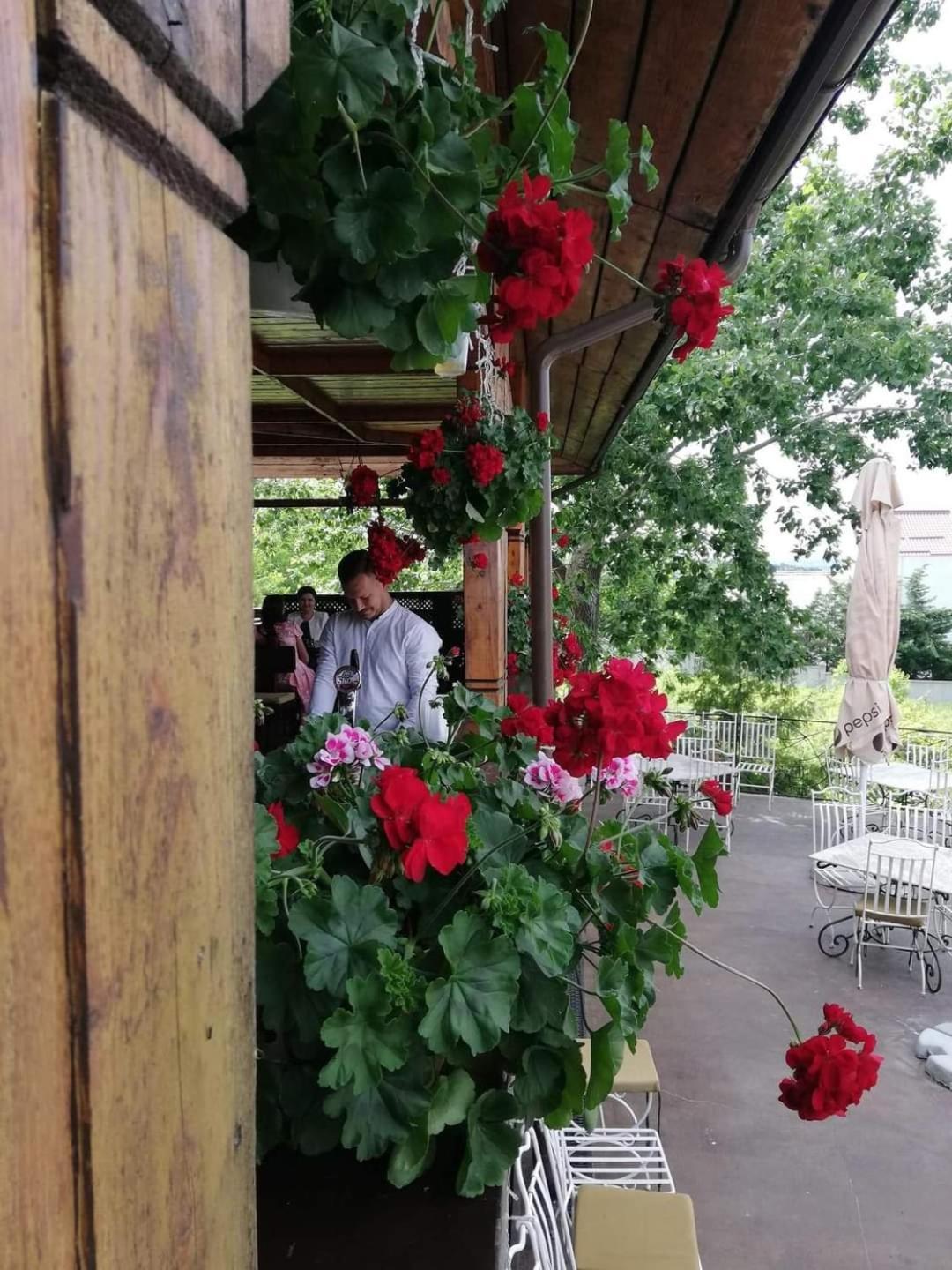 Casa Boiereasca 호텔 이아시 외부 사진